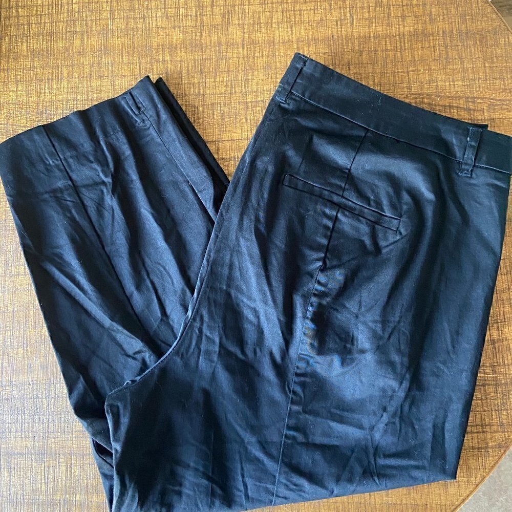 CATO Classic Straight Leg Crop Pants 18W